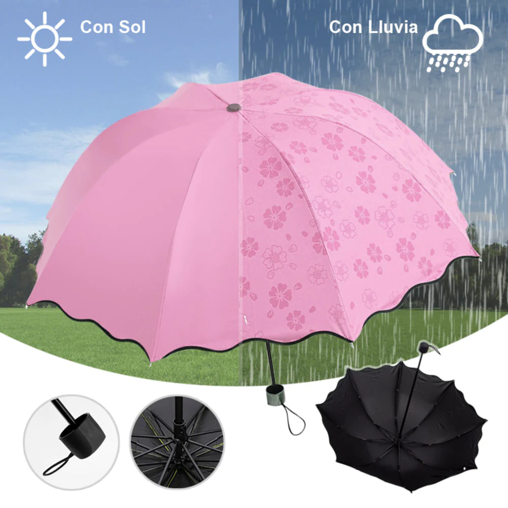 358596841_759705699171192_3633202062790635640_n